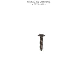 S/S Light Lens Retaining Screws (NAS side, indicators, brake fog & reverse lights)  - LR Defender